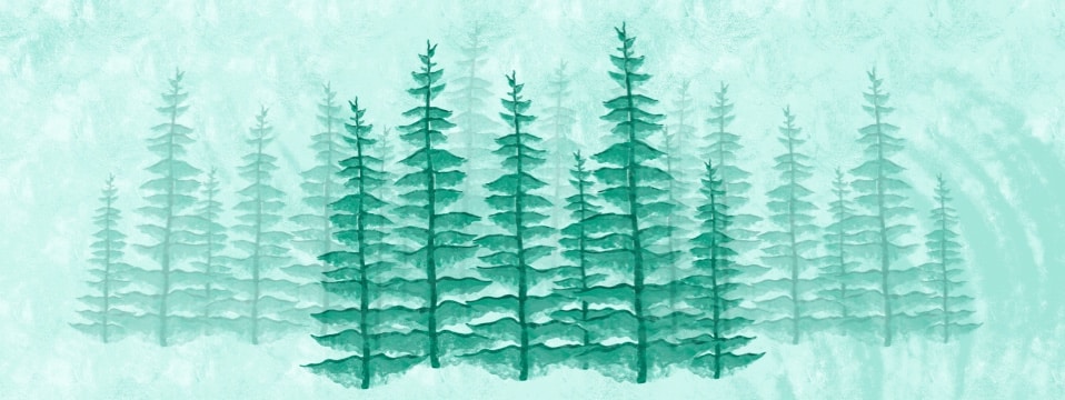 Print, Discovery Commerce, and Sustainability in 2023 and beyond