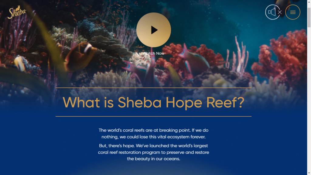 2023 Digital Content Trends You Don’t Want to Miss 2 Image shows picture of coral reef and written explanation of what is Sheba Hope Reef